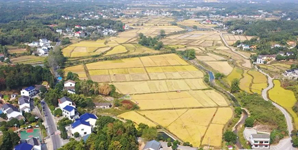 微信图片_20221219092432.jpg 微信图片_20221219092432.jpg